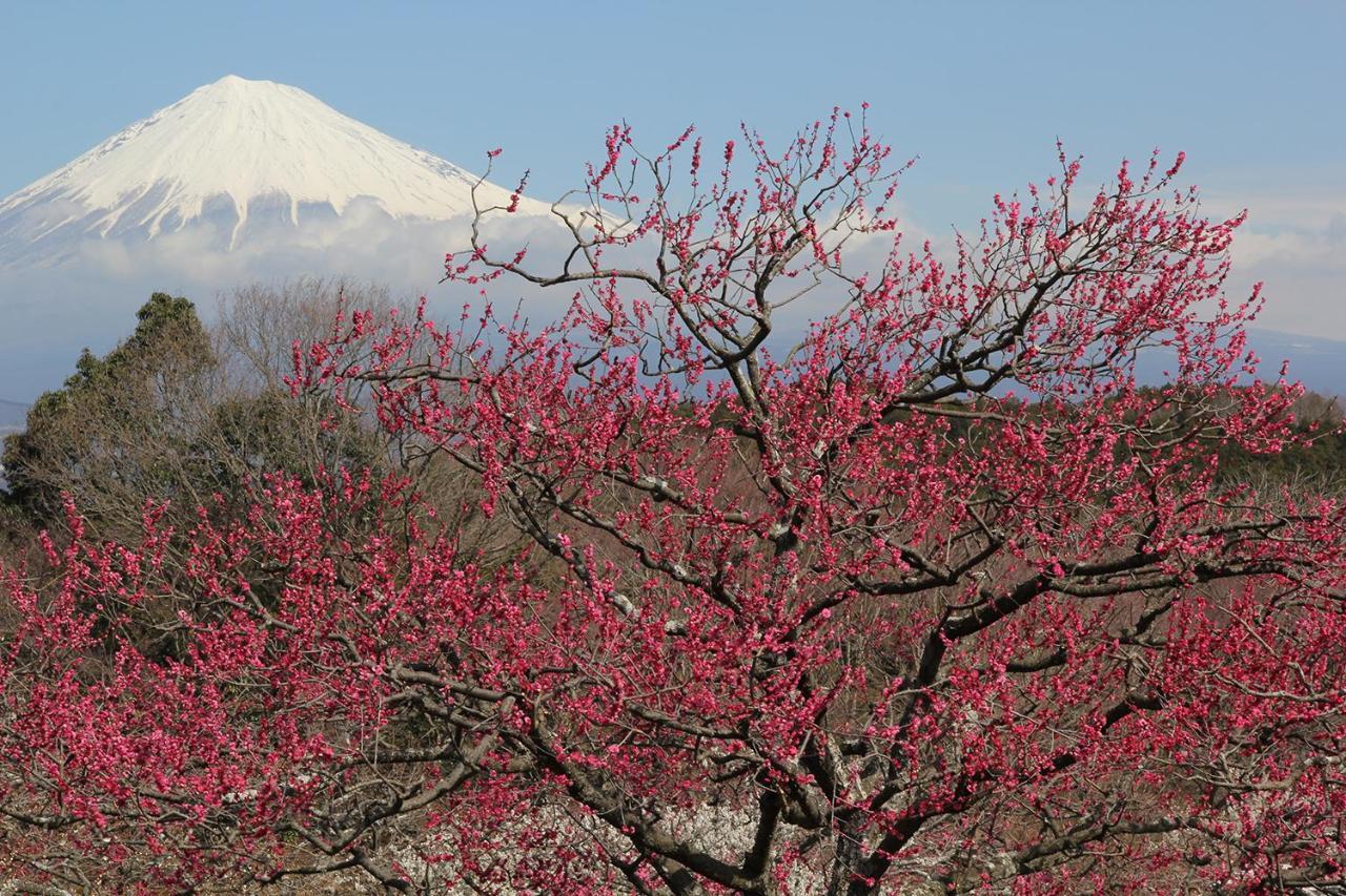 Business Hotel Sunpu Shizuoka Dış mekan fotoğraf