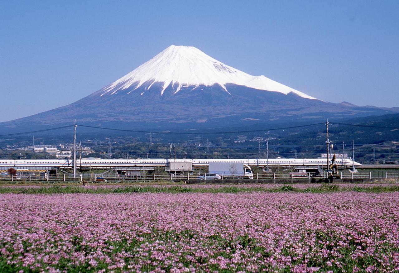 Business Hotel Sunpu Shizuoka Dış mekan fotoğraf